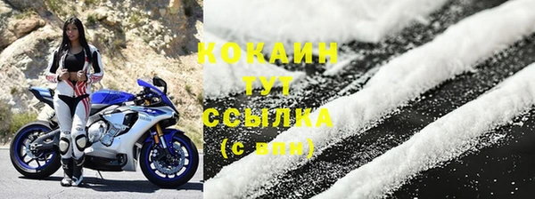 мдпв Галич