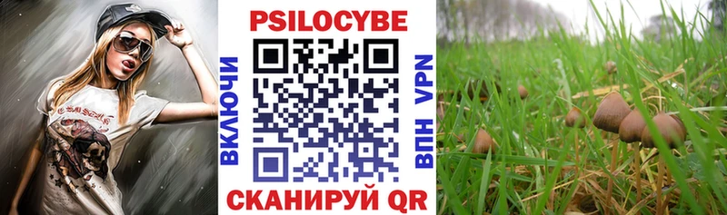 blacksprut зеркало Нытва Псилоцибиновые грибы Psilocybine cubensis