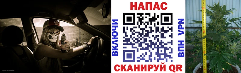 hydra ССЫЛКА  Нытва  Каннабис тримм  даркнет сайт 
